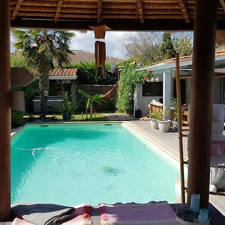 La Du Teich فيلة لو تيتش