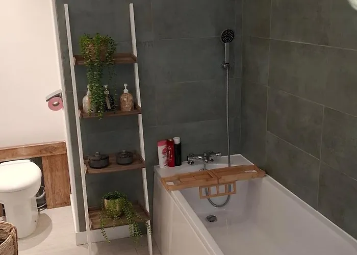 La Du Teich Villa Le Teich